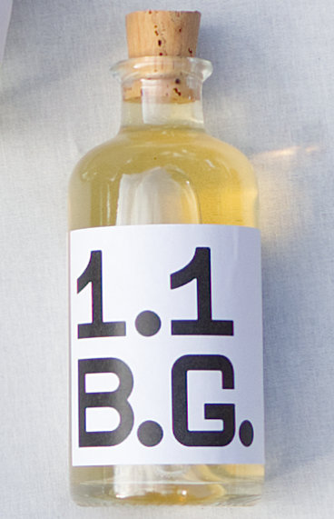 B.G. 1.1